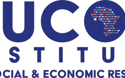 Case Study: The Ducor Institute for Social and Economic Research Website
